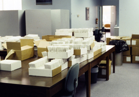 Boxes and boxes of mail